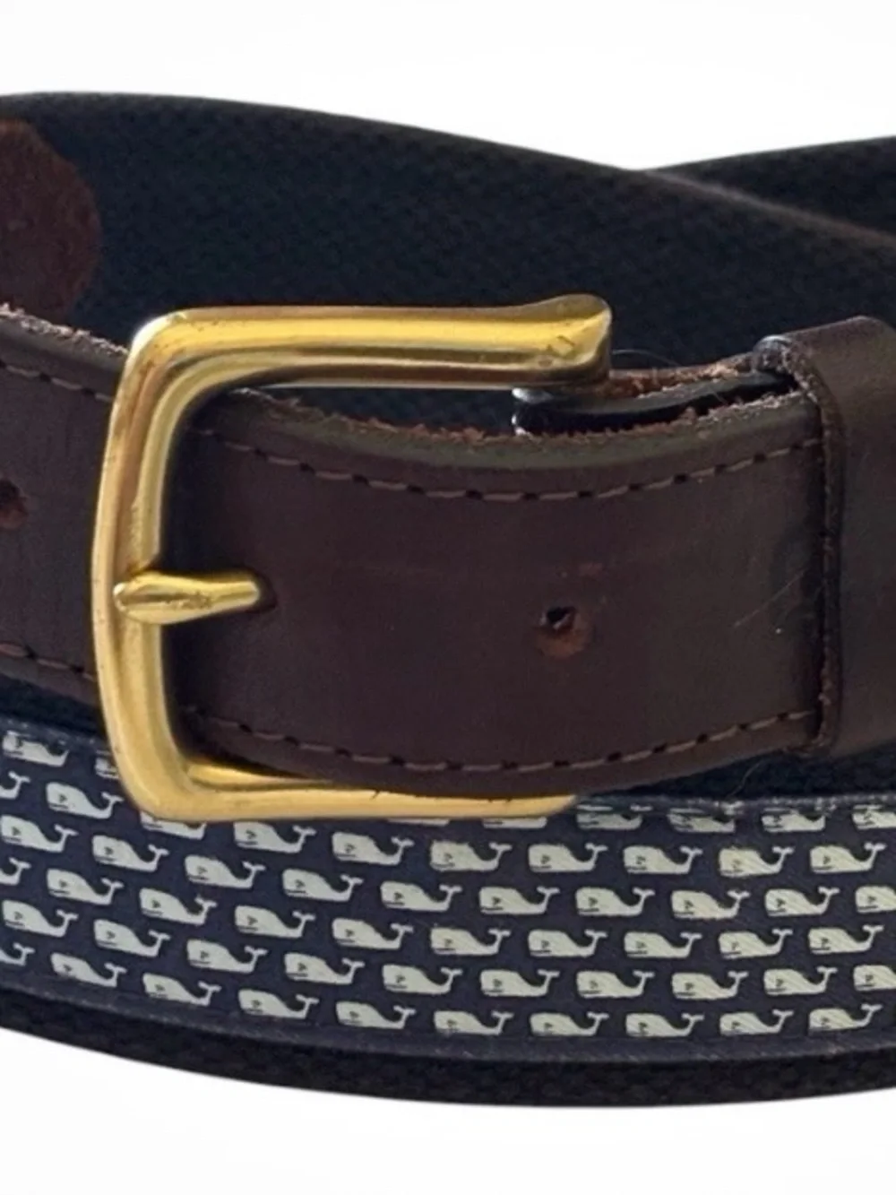 Belt (#354)